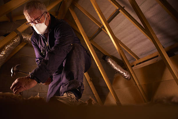 Best Specialty Insulation in Bruce, MS